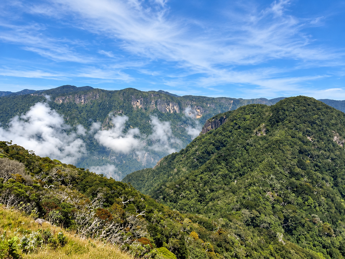 Mountains