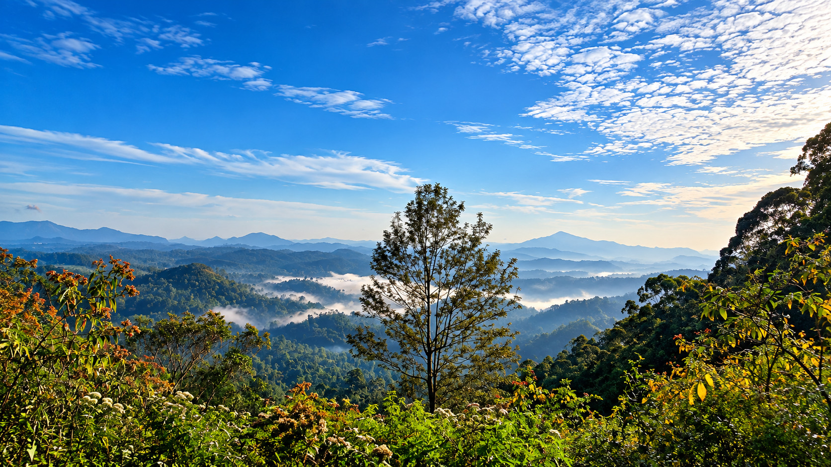 Idalgashinna Mountain Sri Lanka
