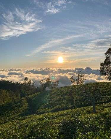 Haputale Lipton Seat Sunrise