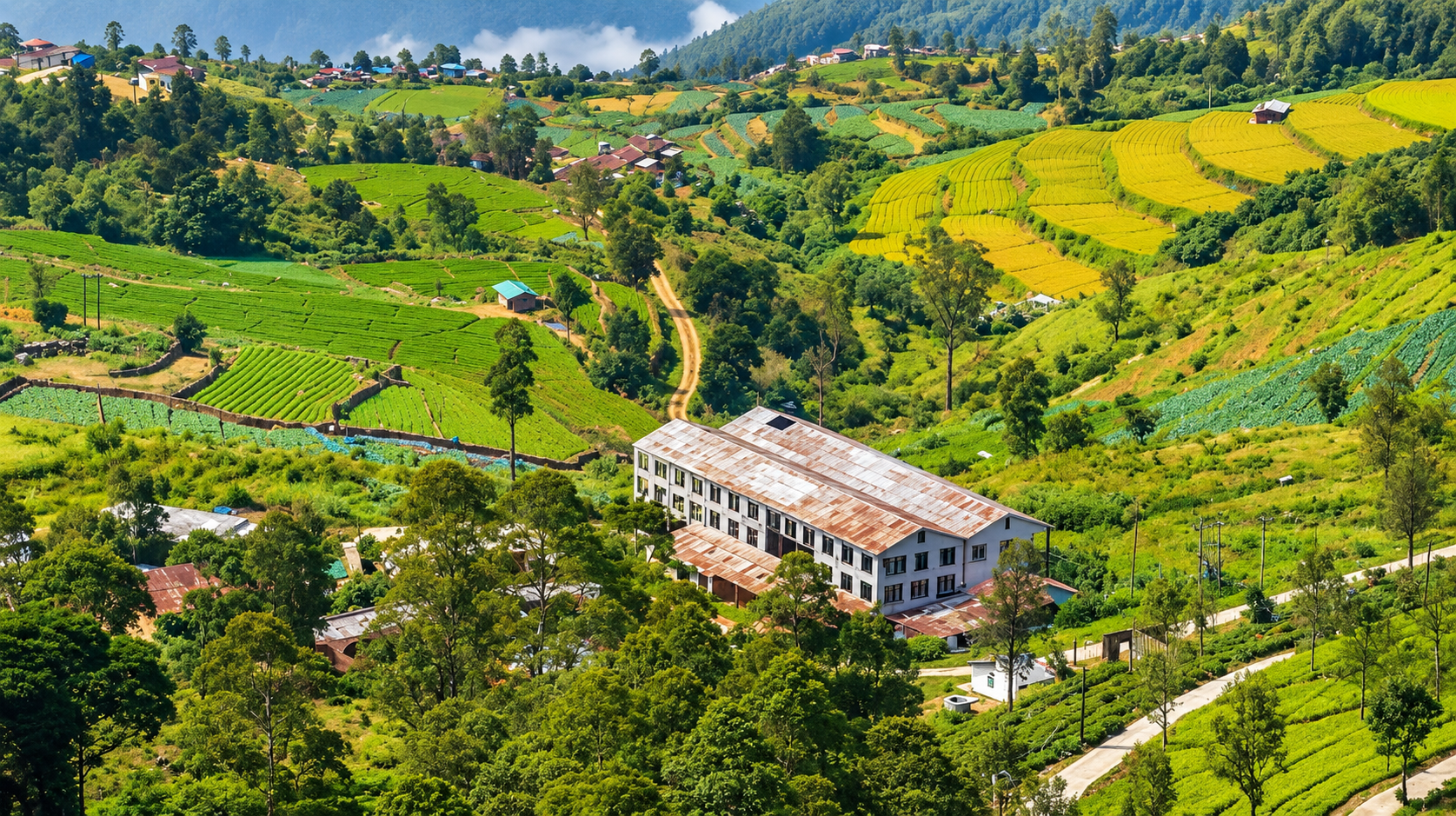 Scenic view related to Ohiya Estate in Sri Lanka