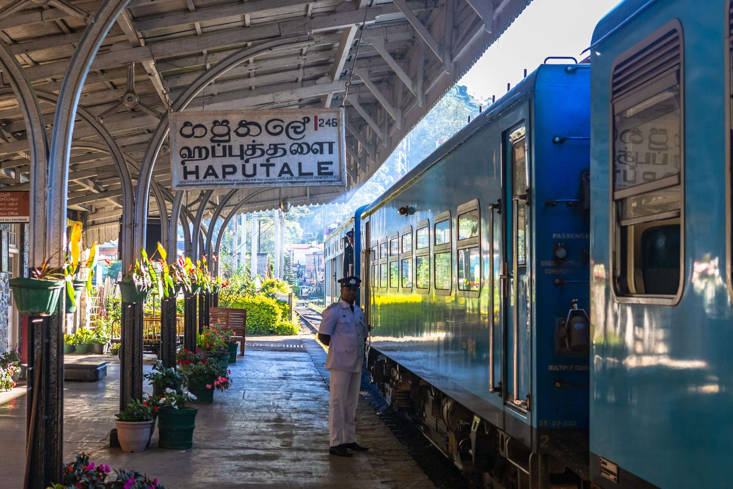 Train travelling through the Haputale hill country