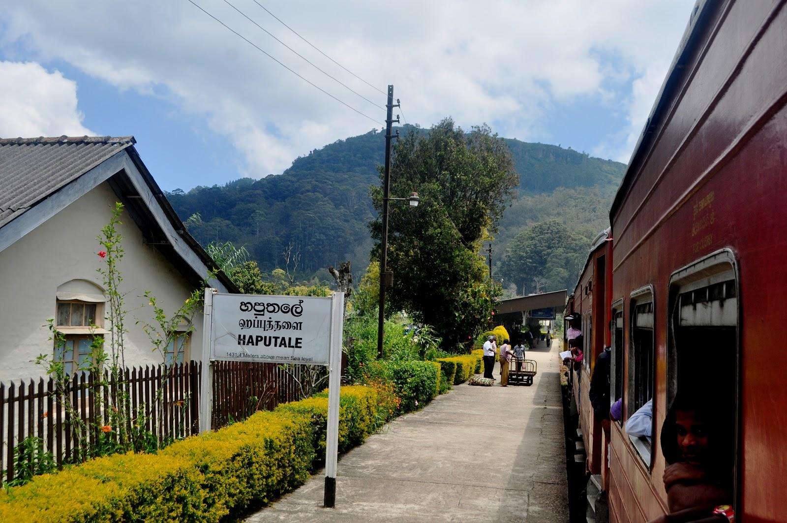 Tea estates and mountain views around Haputale